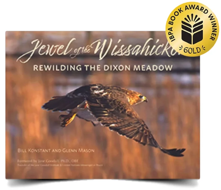 IBPA Book Award Winner • Gold